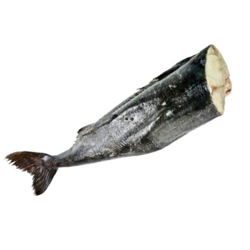 Угольная рыба